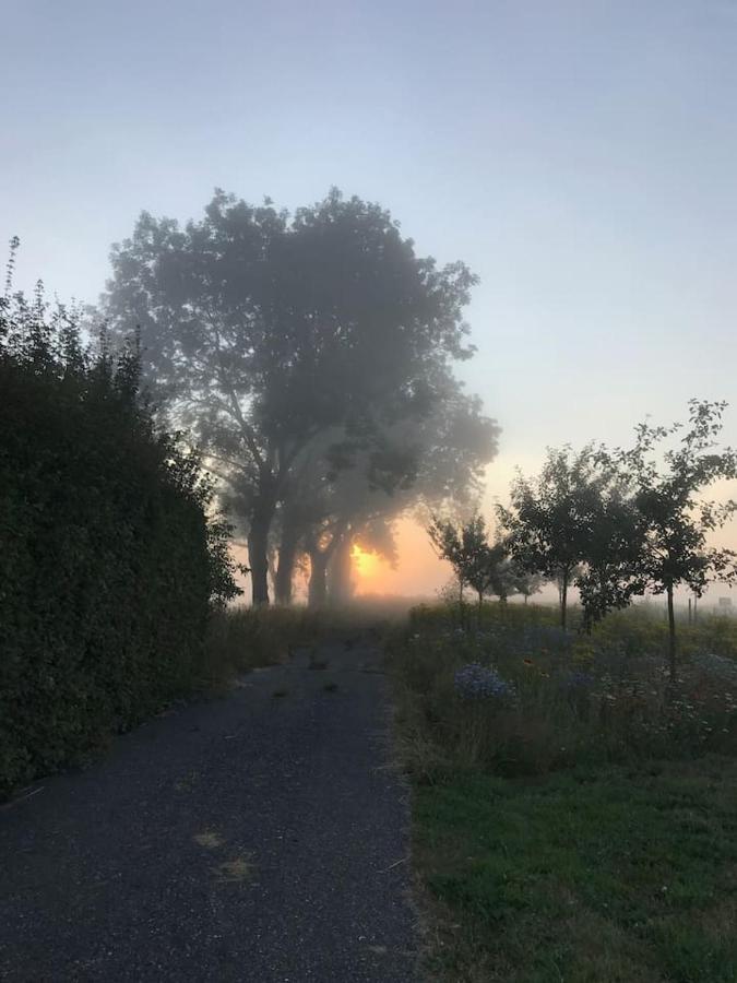 Zomerdijk-Inn Zuid Wanneperveen Eksteriør billede